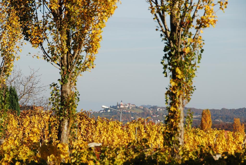 Winzerhof Familie Kloeckl Klöch Exterior foto