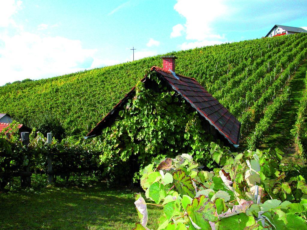 Winzerhof Familie Kloeckl Klöch Exterior foto
