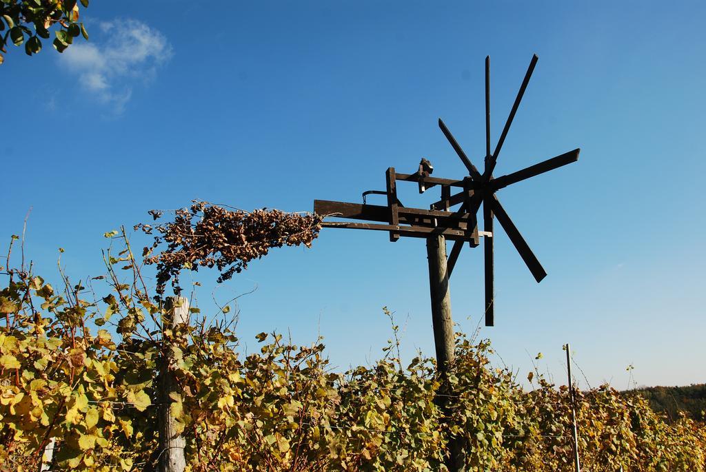 Winzerhof Familie Kloeckl Klöch Exterior foto
